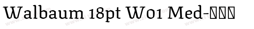Walbaum 18pt W01 Med字体转换